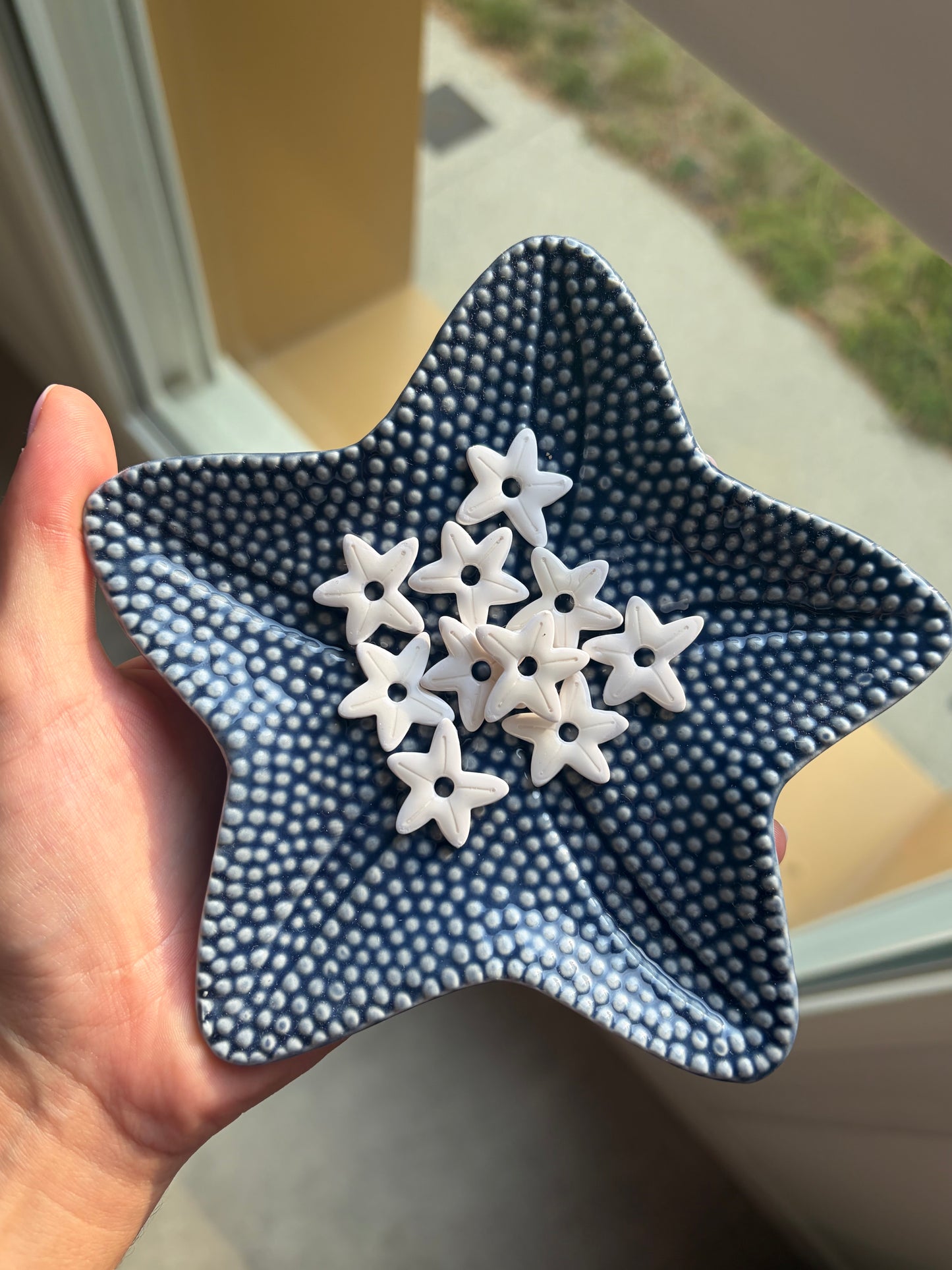 Étoile de Mer Blanche ✨