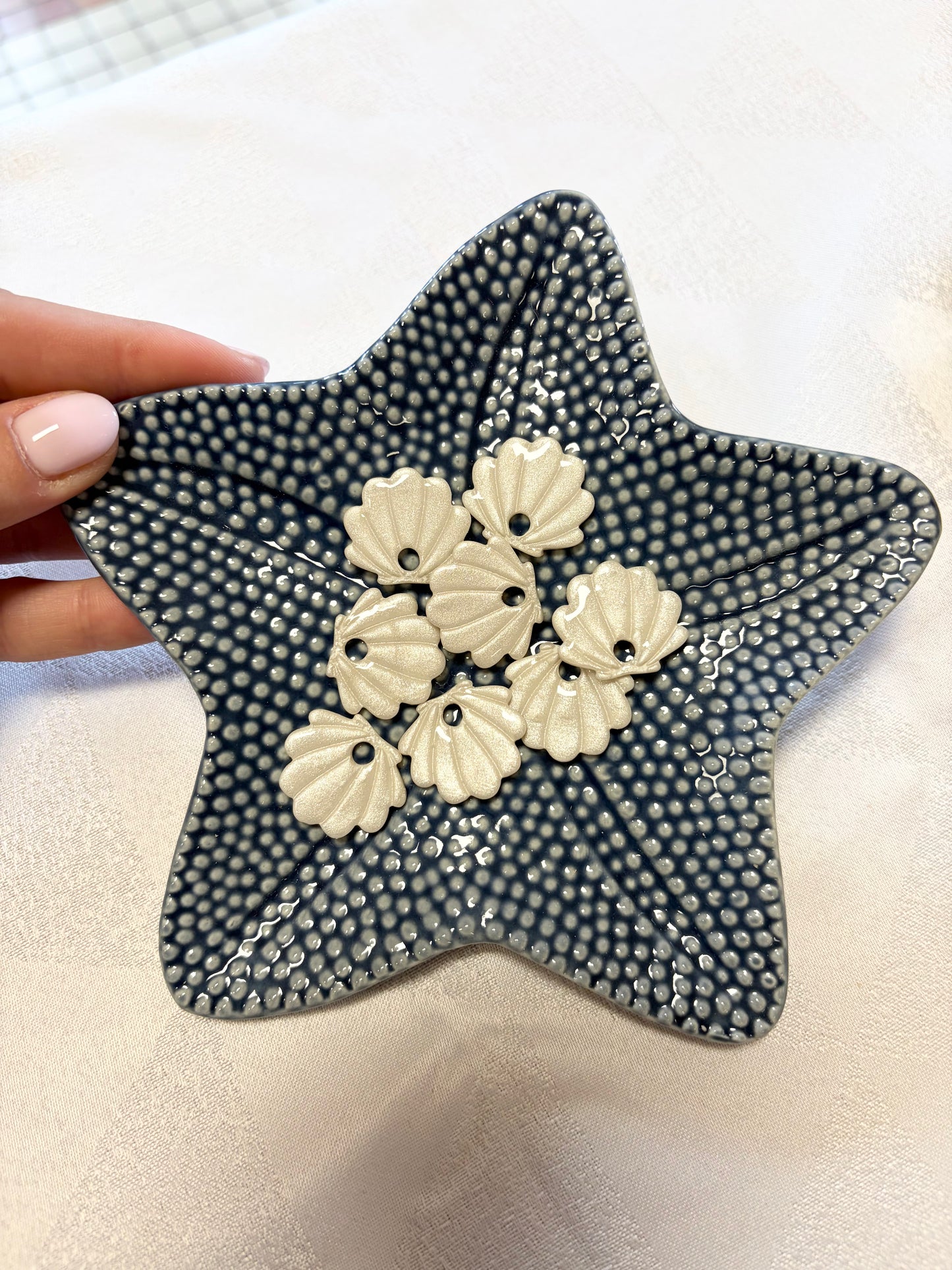 Coquillage nacrée ✨